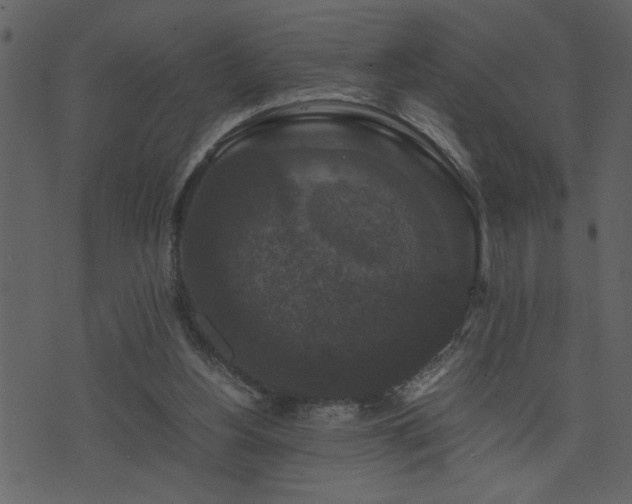 X0000071760156200606301139