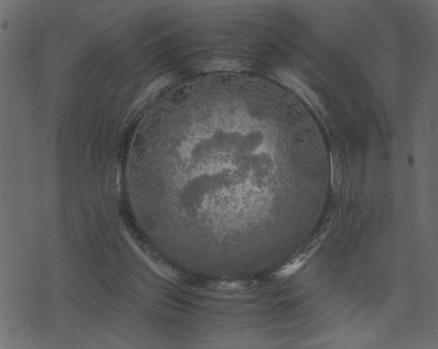 X0000071760157200606301139