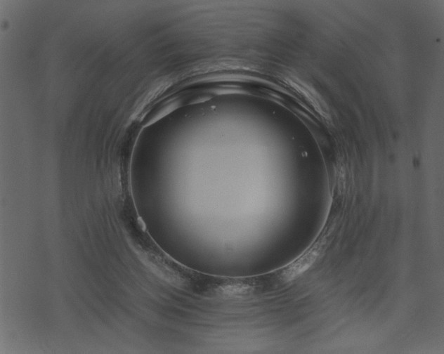 X0000071760158200606301139