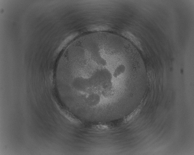 X0000071760159200606301139