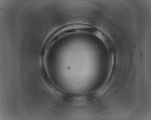 X0000071760160200606301139