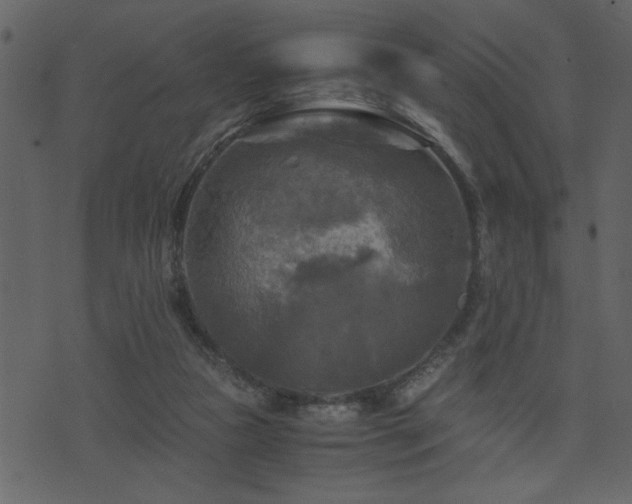 X0000071760161200606301139