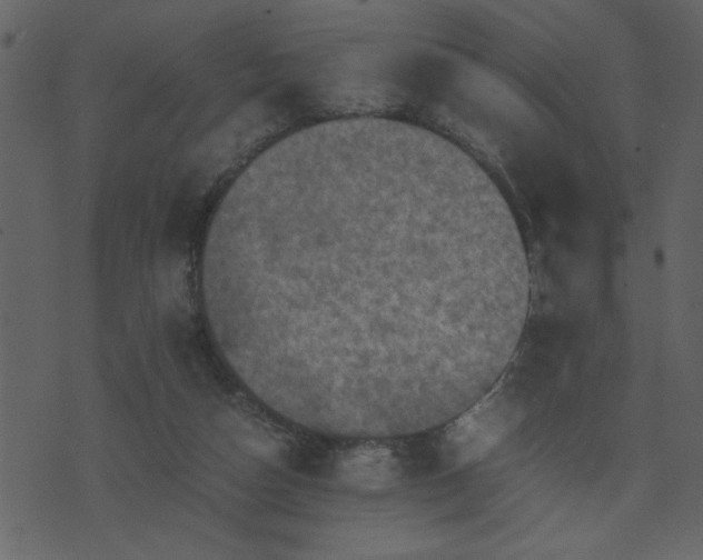 X0000071760162200606301139