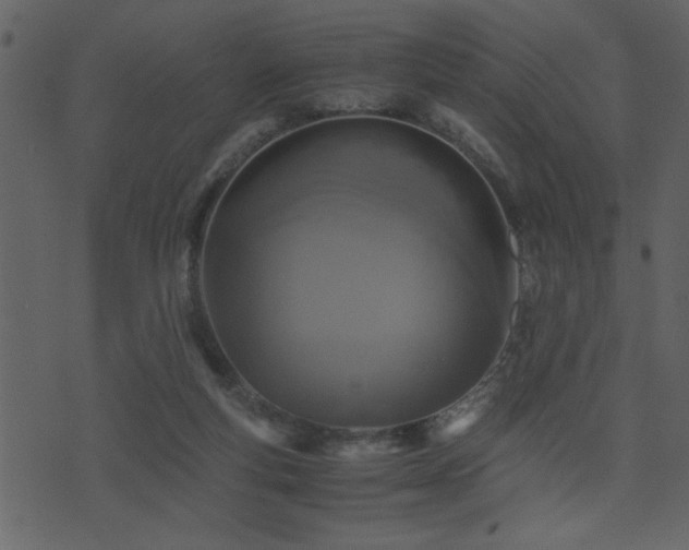 X0000071760163200606301139