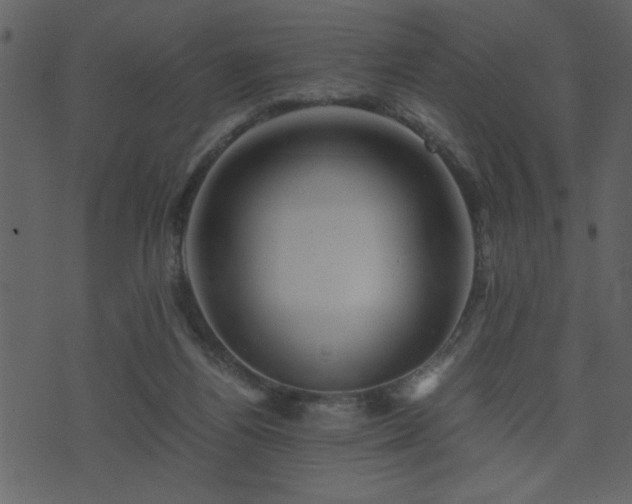 X0000071760164200606301139