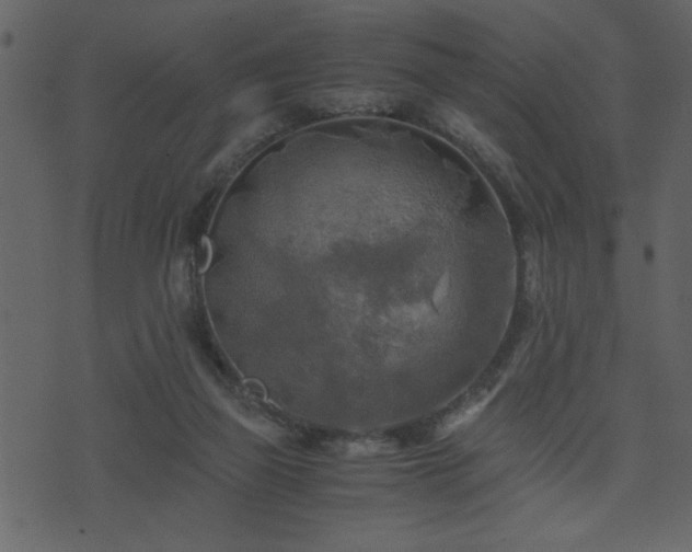 X0000071760165200606301139