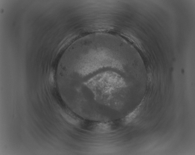 X0000071760166200606301139