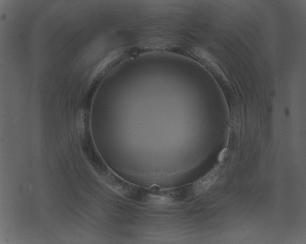 X0000071760167200606301139