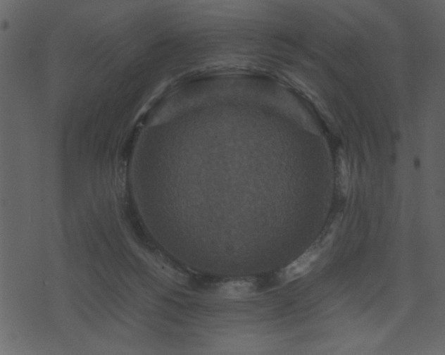 X0000071760168200606301139