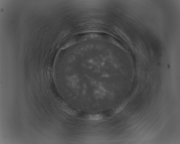 X0000071760169200606301139