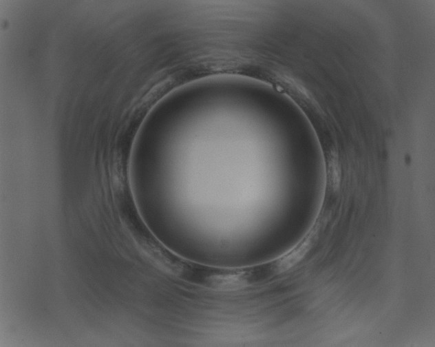 X0000071760170200606301139