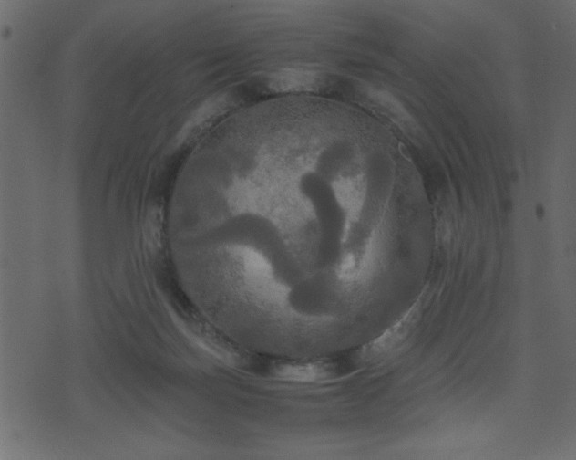 X0000071760171200606301139