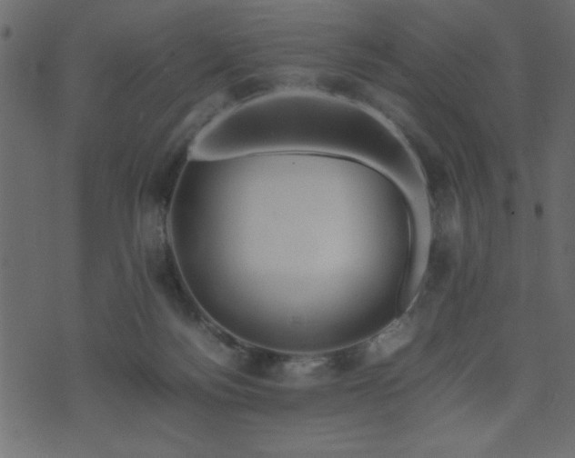 X0000071760172200606301139