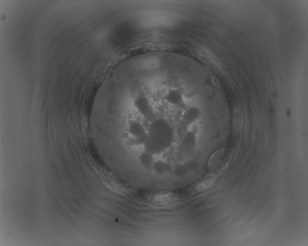 X0000071760173200606301139