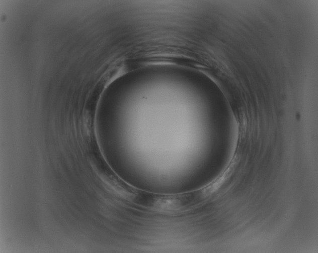 X0000071760174200606301139