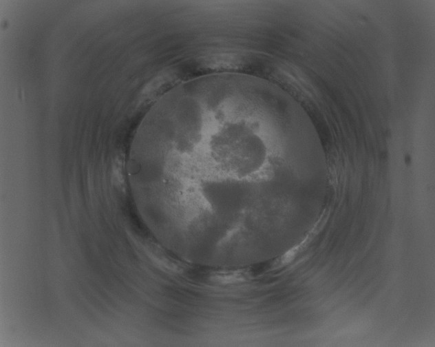 X0000071760175200606301139