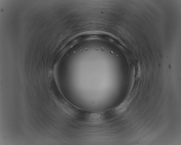 X0000071760176200606301139