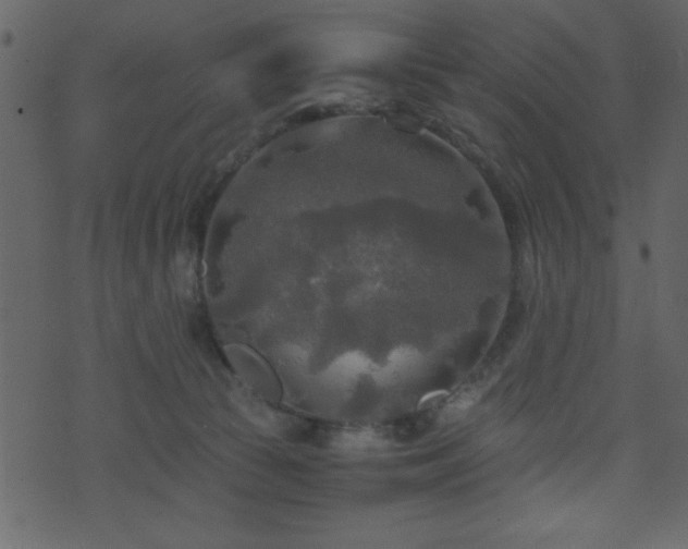 X0000071760177200606301139