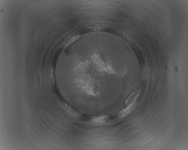 X0000071760178200606301139