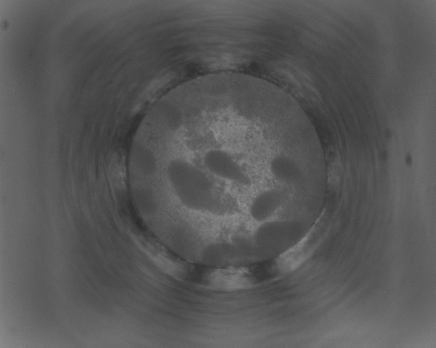 X0000071760179200606301139