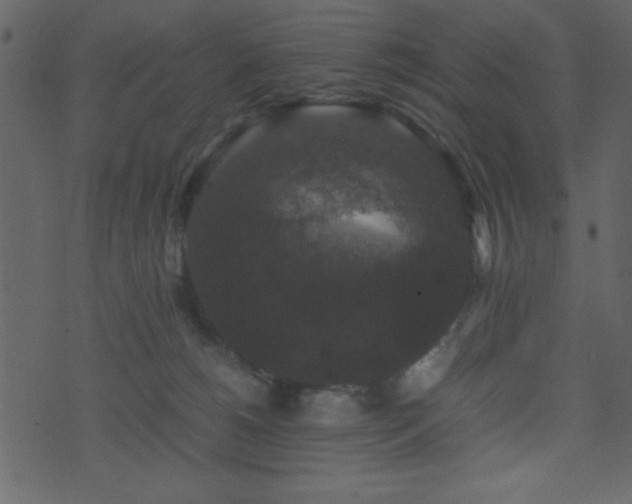 X0000071760180200606301139