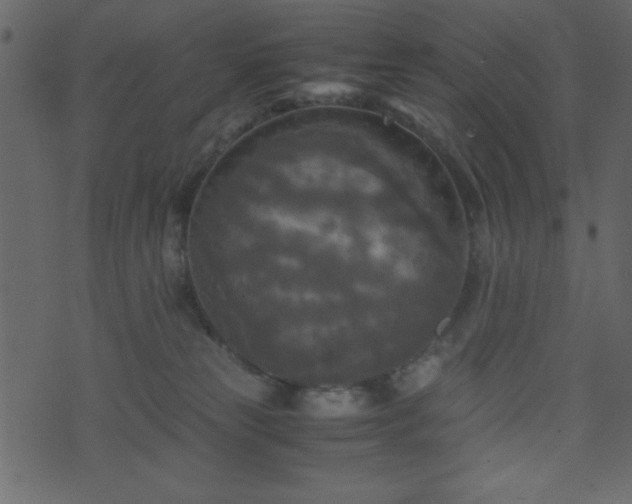 X0000071760181200606301139