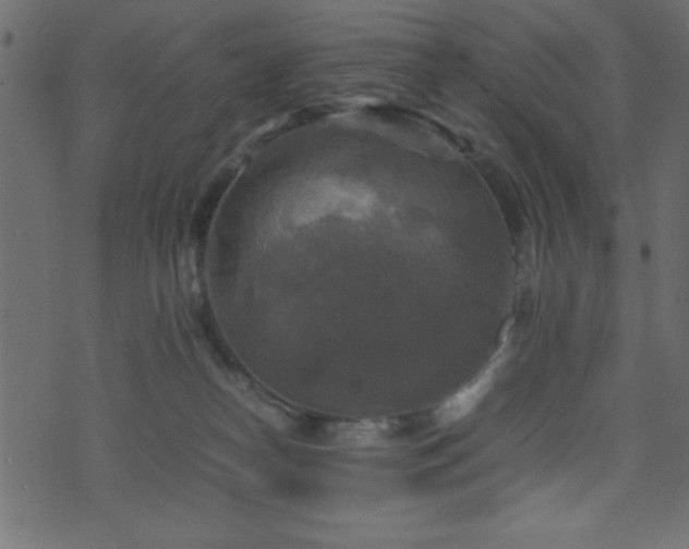 X0000071760182200606301139