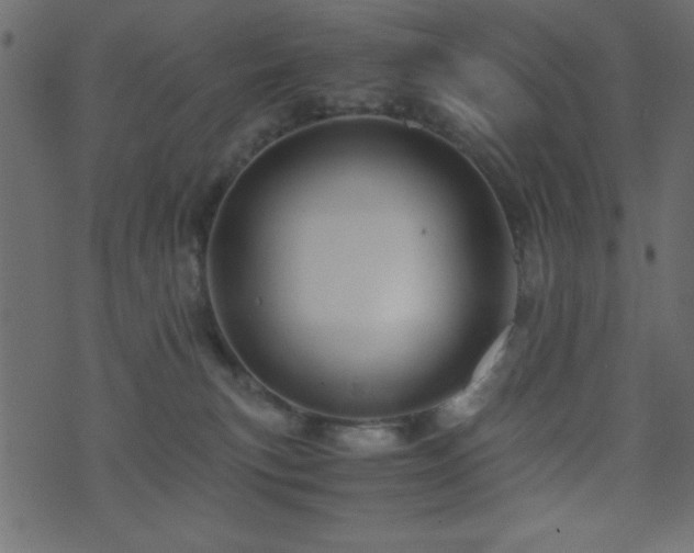 X0000071760183200606301139