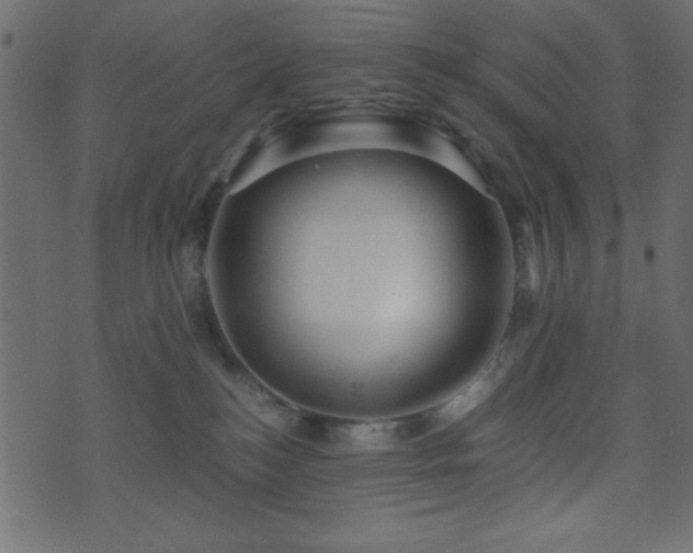 X0000071760184200606301139