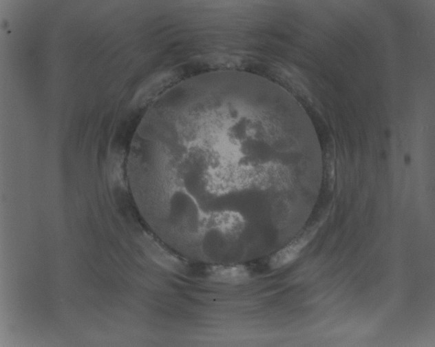 X0000071760185200606301139