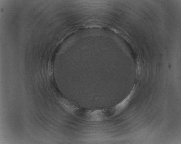 X0000071760186200606301139