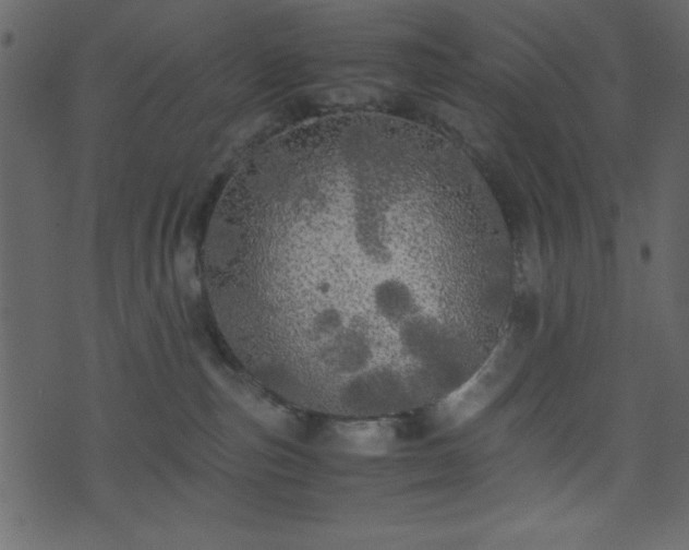 X0000071760187200606301139