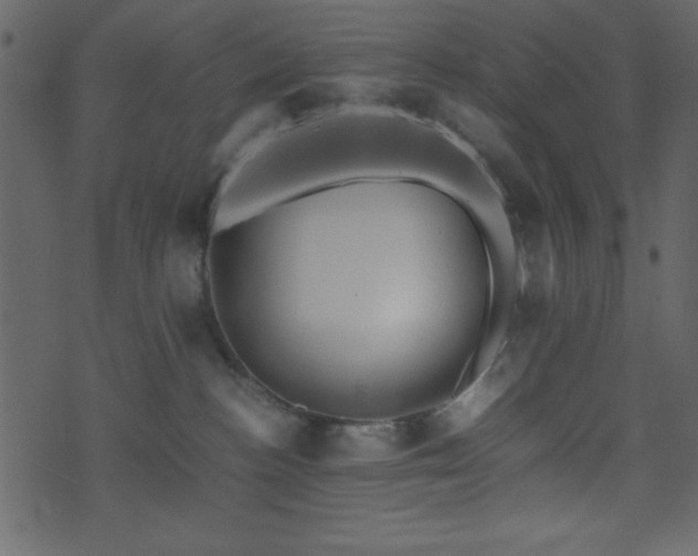 X0000071760188200606301139