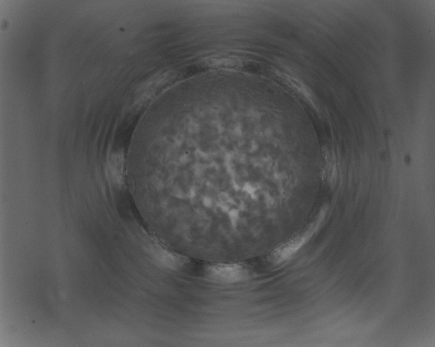 X0000071760189200606301139