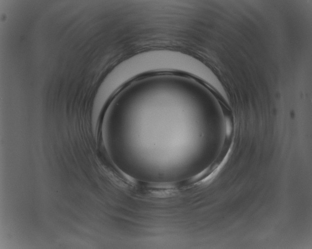 X0000071760190200606301139