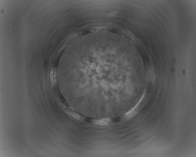 X0000071760191200606301139