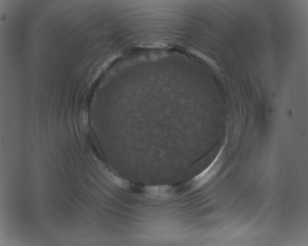 X0000071760192200606301139