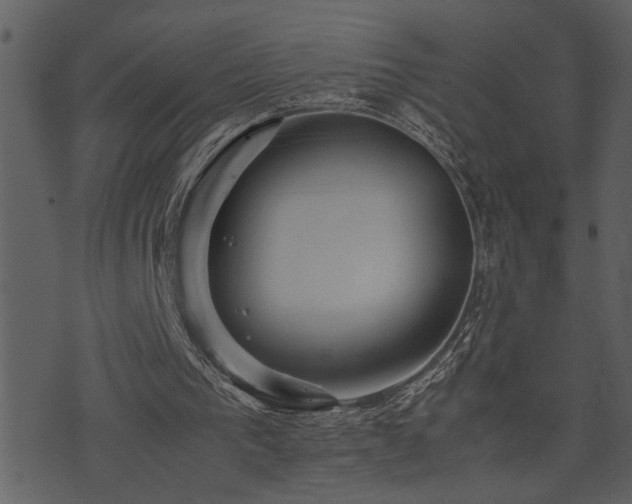 X0000071760193200606301139