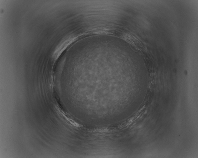 X0000071760194200606301139