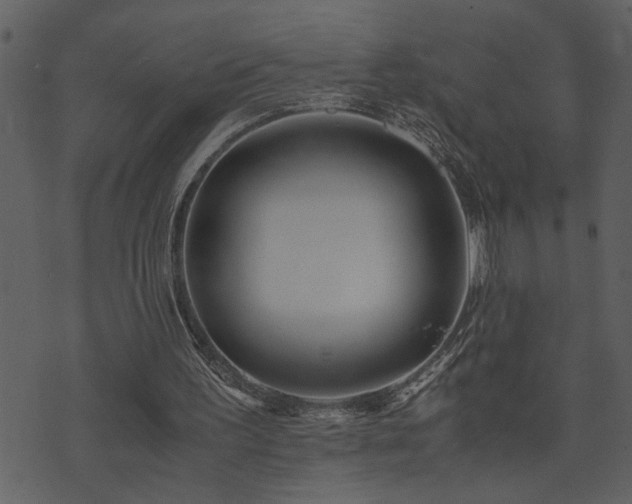 X0000071760195200606301139