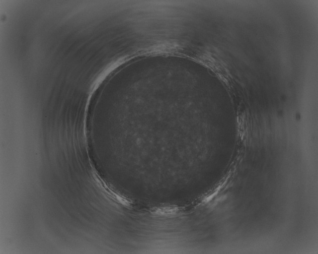 X0000071760196200606301139