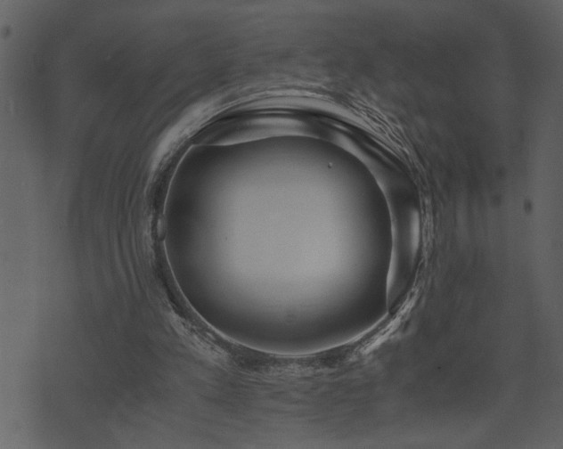 X0000071760197200606301139