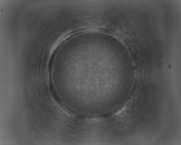 X0000071760198200606301139