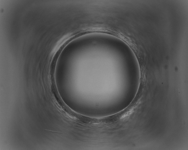 X0000071760199200606301139