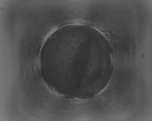 X0000071760200200606301139