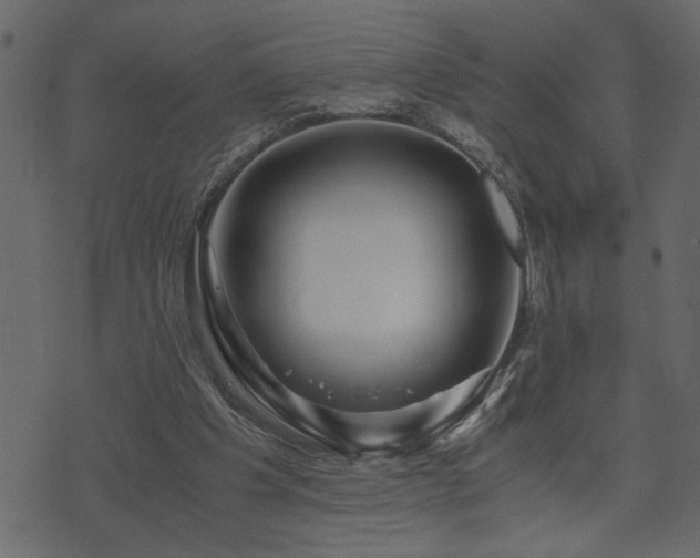 X0000071760201200606301139