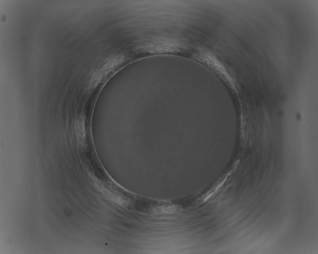 X0000071760202200606301139