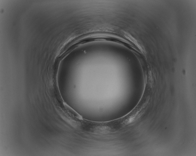 X0000071760203200606301139