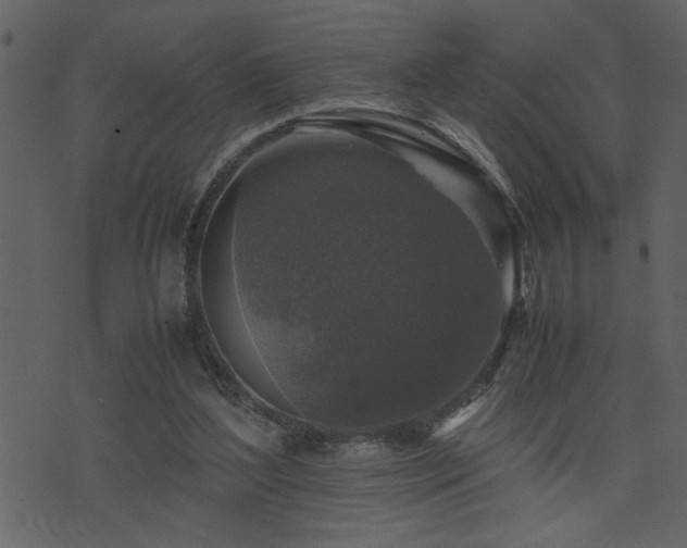 X0000071760204200606301138