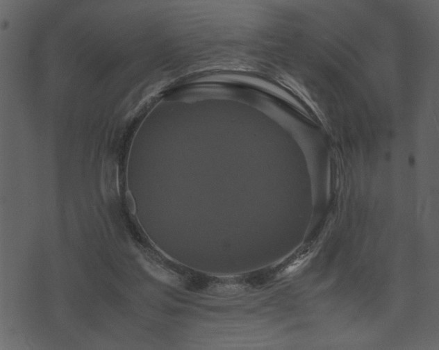 X0000071760205200606301138